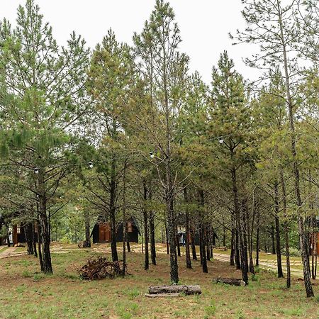Chales Naturale - Campos Do Jordao - Cna Eksteriør bilde